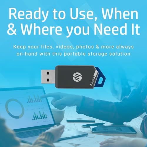 HP 256 GB x900 USB 3.0 Flash Drive – High-Speed Data Storage for PC & Mac, Compact & Durable Design, Effortless File Transfer Solution