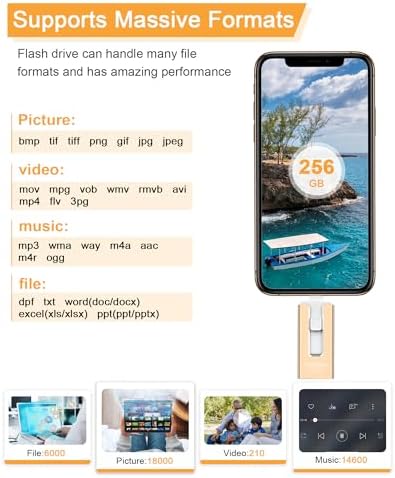 256 GB High-Speed USB Flash Drive for Phones & Tablets – Ultimate Photo & Video Storage Solution with Enhanced Compatibility & Plug-and-Play Convenience (Sleek Black Design)
