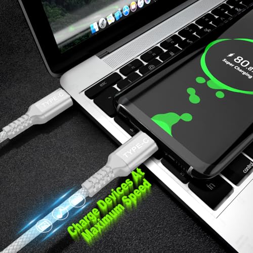 Basesailor 10 ft USB C to USB C Power Delivery Charging Cable – 100 W Fast Charger for i Phone 16/15 Pro Max, Mac Book, i Pad Air 4/5, Mini 6, and Samsung Galaxy S22/S23/S24/S25 – Durable 2 Pack for Enhanced Speed and Efficiency