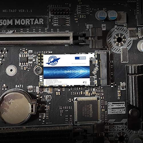 Enhance Your Computing Power with the Dogfish 250 GB M.2 2242 SSD – Lightning-Fast Internal Solid State Drive for Unmatched Speed and Compatibility in Desktops & Laptops