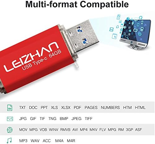 Leizhan 256 GB 2-in-1 USB 3.0 & Type-C Flash Drive – High-Speed Data Transfer & Versatile Storage Solution for Laptops and Smartphones – Compact Durable Design for On-the-Go Convenience