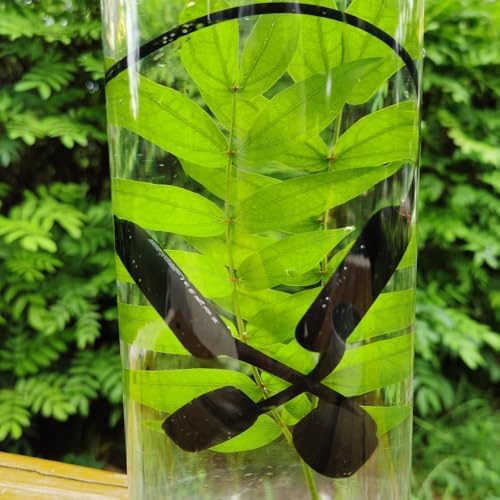 IHAO Ultra-Light Bone Conduction Bluetooth Headphones with Built-In MP3 Player – Open-Ear Ergonomic Earbuds for Active Lifestyles, Perfect for Cycling, Running, and Skiing – Sweat-Proof, Comfortable Fit with Exceptional Sound Clarity and Surround Awareness