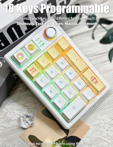 Gasket Creamy Mechanical Numpad – Wireless RGB Backlit Programmable Macro Keypad with Hot Swappable Keys, USB-C and Bluetooth 5.0 Connectivity for Enhanced Productivity on Windows and Mac – Compact Rechargeable Numeric Keyboard with Durable Metal Knob for Streamlined Workflow
