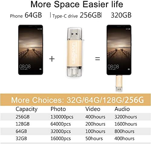 Leizhan 64 GB Dual Interface USB Flash Drive – Versatile Type-C & USB Memory Stick with Adapters for Effortless Data Transfer – Stylish Gold Finish for Enhanced Portability and Compatibility
