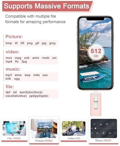 256 GB High-Speed USB Flash Drive for Phones & Tablets – Ultimate Photo & Video Storage Solution with Enhanced Compatibility & Plug-and-Play Convenience (Sleek Black Design)
