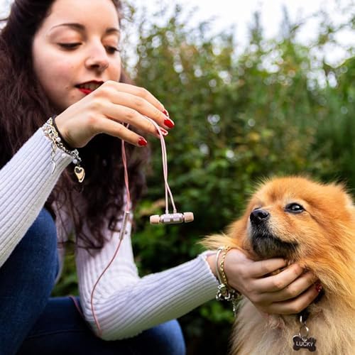 LUDOS Ultra Magnetic USB-C Earbuds for i Phone 16 & Samsung Galaxy – Superior Sound Performance with 5-Year Warranty, Ergonomic Comfort for All-Day Use, Tangle-Free Magnetic Design for Music and Calls – Sleek Black Finish