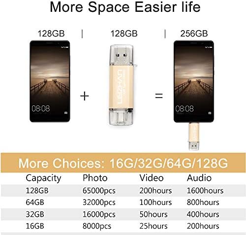 Leizhan 64 GB Dual Interface USB Flash Drive – Versatile Type-C & USB Memory Stick with Adapters for Effortless Data Transfer – Stylish Gold Finish for Enhanced Portability and Compatibility