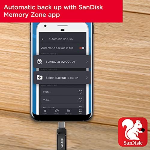San Disk 4 GB Ultra Compact Flash Memory Card – Lightning-Fast 30 MB/s Transfer Rate for Effortless Storage and Sharing, Perfect for Photographers and Creative Professionals