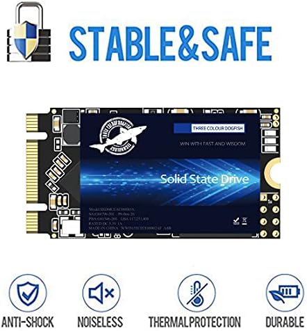 Unlock Lightning-Fast Computing with the Dogfish 500 GB M.2 2242 SATA III SSD – Perfect Upgrade for Desktops and Laptops with Enhanced Compatibility and Low Power Consumption for Ultimate Efficiency