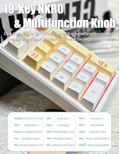 Gasket Creamy Mechanical Numpad – Wireless RGB Backlit Programmable Macro Keypad with Hot Swappable Keys, USB-C and Bluetooth 5.0 Connectivity for Enhanced Productivity on Windows and Mac – Compact Rechargeable Numeric Keyboard with Durable Metal Knob for Streamlined Workflow