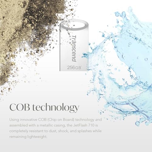 Transcend Jet Flash 710 32 GB USB 3.1 Flash Drive – Ultra-Fast Data Transfer & Durable Design for Effortless Storage Solutions in Sleek Silver Finish