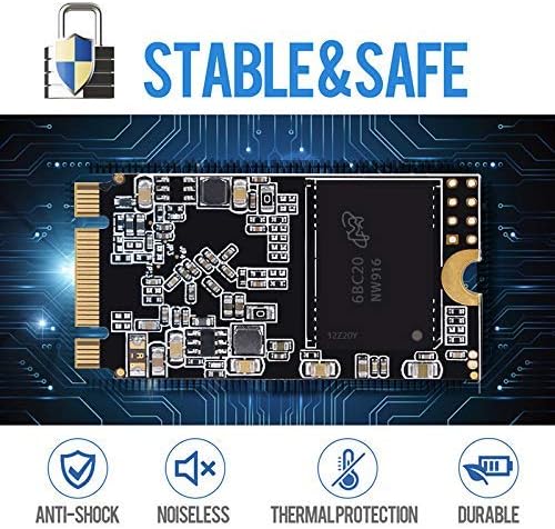 Transform Your System with the Shark Speed 64 GB MSATA SSD – High-Performance Internal Solid State Drive for Enhanced Speed and Storage in Desktops & Laptops – Lightning-Fast SATA III 6 Gb/s for Gamers and Professionals Seeking Unmatched Efficiency and Reliability