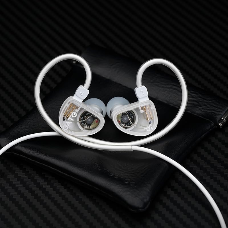 GATE Dynamic Driver In-Ear Headphones: Premium Black Earbuds with Interchangeable 3.5 mm Cable and Built-In Microphone – Unmatched Sound Quality and Comfort for Music, Gaming, and Calls, Ideal for Audiophiles and Everyday Use