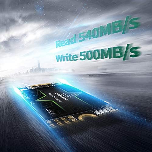 Boost Your Gaming Setup with the Kingshark Gamer 256 GB M.2 2242 SSD – Lightning-Fast SATA III Storage for Uninterrupted Gameplay and Maximum Compatibility!