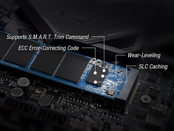 TEAMGROUP MP33 256 GB NVMe SSD – Ultra-Fast M.2 2280 Solid State Drive for Unmatched Performance Enhancement – Exceptional SLC Cache 3 D NAND TLC, PCIe Gen3 x4, Ideal for Gaming & Productivity – Experience Lightning Read Speeds Up to 1600 MB/s and Write Speeds Up to 1000 MB/s – Transform Your System with Unrivaled Efficiency & Reliability