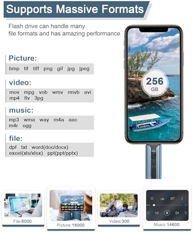 256 GB High-Speed USB Flash Drive for Phones & Tablets – Ultimate Photo & Video Storage Solution with Enhanced Compatibility & Plug-and-Play Convenience (Sleek Black Design)