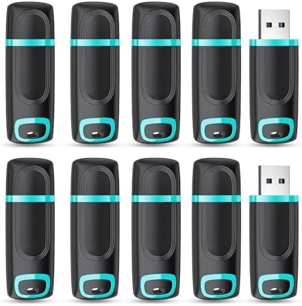 RAOYI 256 GB USB 3.0 Flash Drive – High-Speed Thumb Drive for Effortless Data Transfer Across PCs & Macs – Ultimate Portable Storage Solution for Professionals and Everyday Use