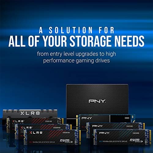 PNY 2 GB Optima SD Card – Reliable Class 4 Memory Card for Cameras & Everyday File Storage, Perfect for Photos, Music, and Documents