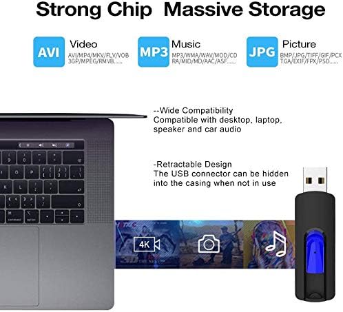 RAOYI 5-Pack 64 GB USB Flash Drives – High-Speed USB 2.0 Memory Sticks for Effortless Data Transfer and Storage – Portable Thumb Drives for PC and Laptop – Ideal for Organizing Photos, Documents, and Videos – Multi-Pack Convenience for Home and Office Use