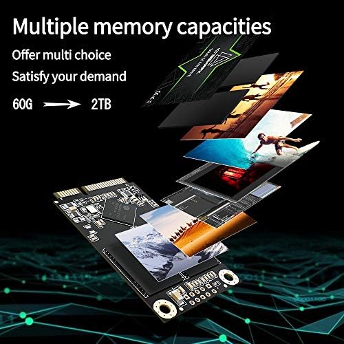 Unleash Lightning-Fast Performance with Kingshark Gamer 64 GB m SATA SSD – High-Speed SATA III Solid State Drive for Seamless Desktop and Laptop Upgrades, Perfect for Gamers and Professionals