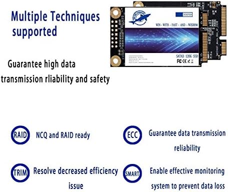 Transform Your Computing: Dogfish 250 GB m SATA SSD – Ultra-Fast Mini SATA Drive for Enhanced Performance in Desktops and Laptops – Effortless Upgrade with Superior Compatibility and Durability