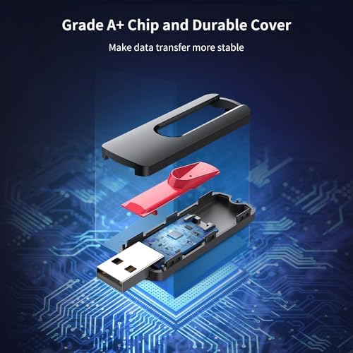 RAOYI 5-Pack 64 GB USB Flash Drives – High-Speed USB 2.0 Memory Sticks for Effortless Data Transfer and Storage – Portable Thumb Drives for PC and Laptop – Ideal for Organizing Photos, Documents, and Videos – Multi-Pack Convenience for Home and Office Use