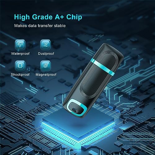 RAOYI 256 GB USB 3.0 Flash Drive – High-Speed Thumb Drive for Effortless Data Transfer Across PCs & Macs – Ultimate Portable Storage Solution for Professionals and Everyday Use