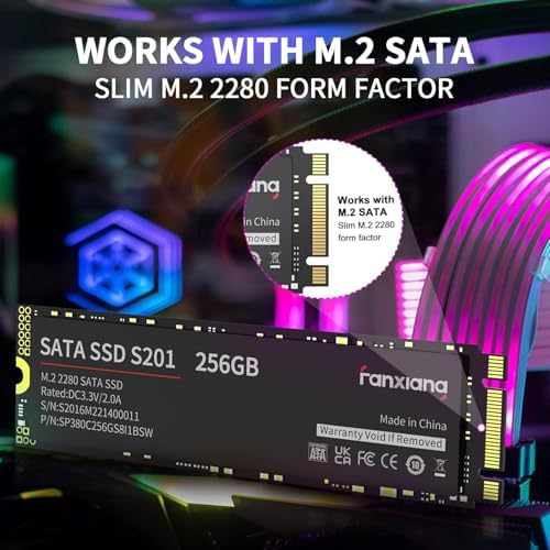 Boost Your System’s Performance with the S201 256 GB M.2 SATA III SSD – High-Speed Internal Solid State Drive for Laptops and Desktops, Featuring Rapid Read Speeds Up to 550 MB/sec and SLC Cache Technology for Ultimate Efficiency and Reliability
