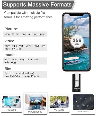 256 GB High-Speed USB Flash Drive for Phones & Tablets – Ultimate Photo & Video Storage Solution with Enhanced Compatibility & Plug-and-Play Convenience (Sleek Black Design)
