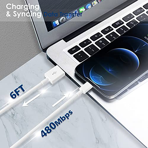 Compact 12 W USB Power Adapter for i Pad and i Phone – Foldable Travel Plug with 2 x 6 FT MFi Certified Cables for Optimal Charging Performance Across Models – Lightweight, Portable, and Efficient Charging Solution for Home and On-the-Go Use