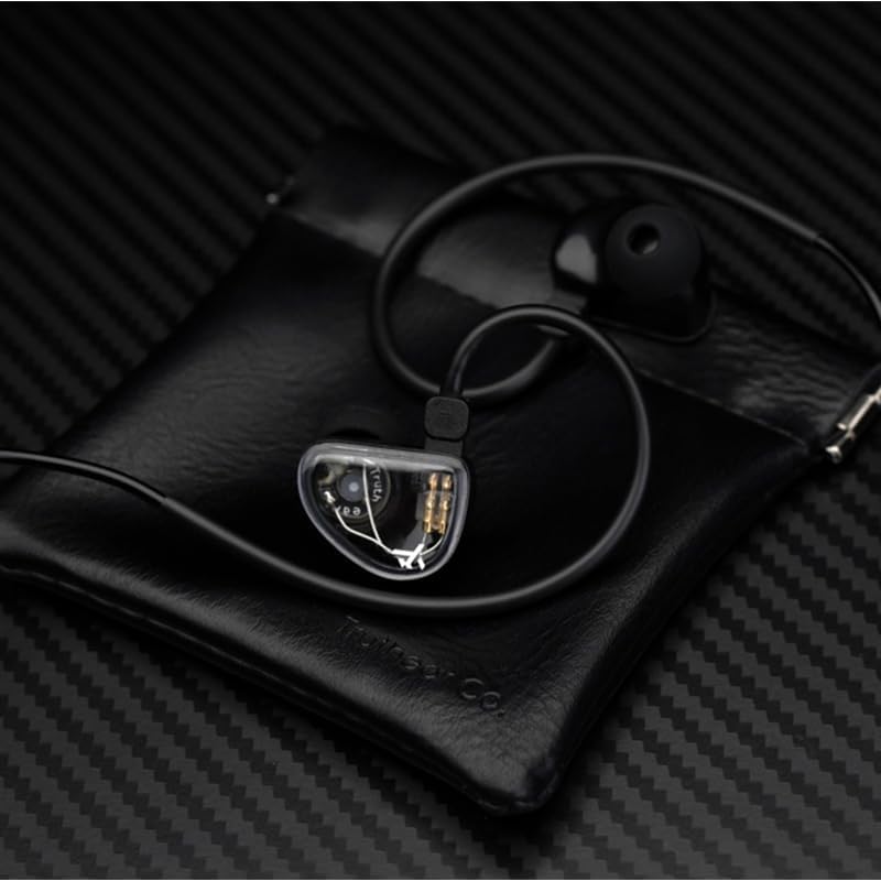 GATE Dynamic Driver In-Ear Headphones: Premium Black Earbuds with Interchangeable 3.5 mm Cable and Built-In Microphone – Unmatched Sound Quality and Comfort for Music, Gaming, and Calls, Ideal for Audiophiles and Everyday Use