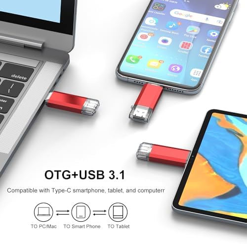 RAOYI 256 GB USB C Flash Drive – Lightning-Fast 130 MB/s Dual OTG Metal Memory Stick for Seamless File Transfers with Keychain – Ideal for Smartphones, PCs, Mac Books, and Tablets (Red) – Ultimate Storage Solution for On-the-Go Professionals