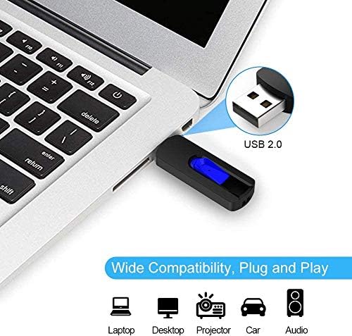 RAOYI 5-Pack 64 GB USB Flash Drives – High-Speed USB 2.0 Memory Sticks for Effortless Data Transfer and Storage – Portable Thumb Drives for PC and Laptop – Ideal for Organizing Photos, Documents, and Videos – Multi-Pack Convenience for Home and Office Use