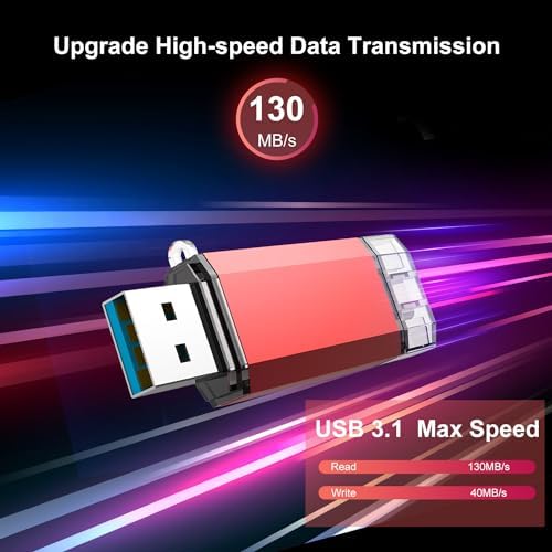 RAOYI 256 GB USB C Flash Drive – Lightning-Fast 130 MB/s Dual OTG Metal Memory Stick for Seamless File Transfers with Keychain – Ideal for Smartphones, PCs, Mac Books, and Tablets (Red) – Ultimate Storage Solution for On-the-Go Professionals