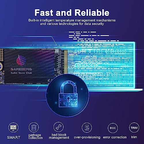 Transform Your Computing with GAMERKING 120 GB m SATA SSD – Lightning-Fast Internal Solid State Drive for Desktops and Laptops, SATA III 6 Gb/s for Superior Speed and Reliability