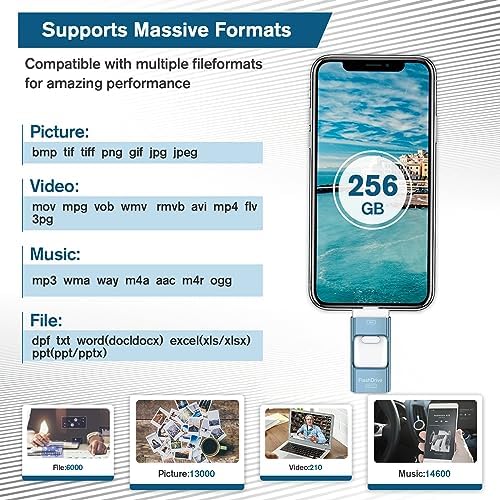 256 GB Thumb Drive for Phones and Tablets – High-Speed USB Flash Drive with Enhanced Compatibility for Android, i Pad, i Phone & PC – Durable, Portable Photo Stick for Effortless File Transfers and Data Storage (Blue)