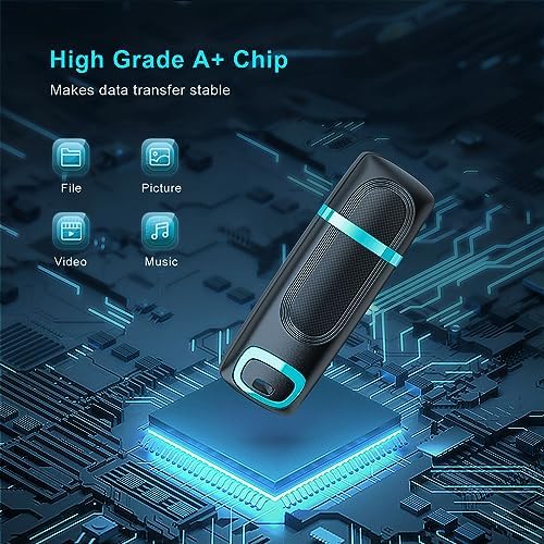 RAOYI 256 GB USB 3.0 Flash Drive – High-Speed Thumb Drive for Effortless Data Transfer Across PCs & Macs – Ultimate Portable Storage Solution for Professionals and Everyday Use