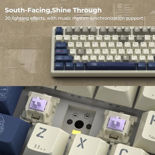 XXV K98 Wireless Gaming Keyboard – Retro Cherry Profile Custom Keycaps, RGB Backlit with Gasket-Structure Design, Hot-Swap Mechanical Comfort for Ultimate Win/Mac Compatibility & Enhanced Gaming Performance