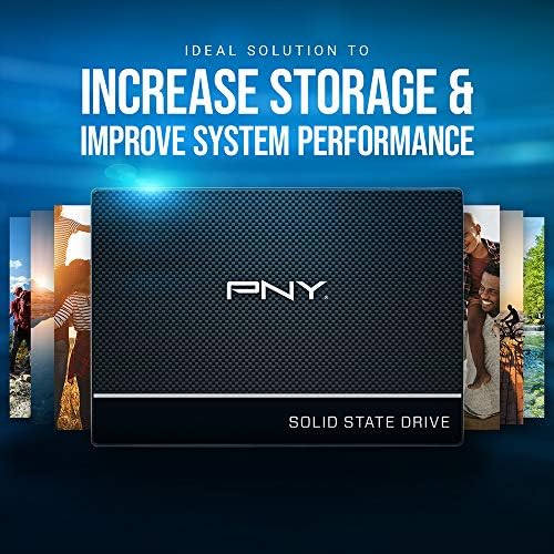 PNY 2 GB Optima SD Card – Reliable Class 4 Memory Card for Cameras & Everyday File Storage, Perfect for Photos, Music, and Documents
