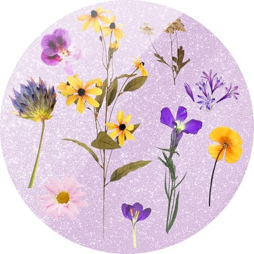 typecase Folding Phone Stand: Foldable Smartphone Holder for Desk – Ultra Thin Adjustable Kickstand – Magnetic Phone Grip Home Desk Accessories Compatible with Phone Tablets – Enhanced Compatibility and Speed