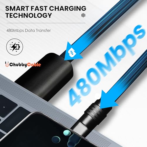 Unleash Exceptional Charging Efficiency with the Chubbycable Black Samurai Edition USB C Cable | 240 W Rapid Charge, 3.3 FT Flexible and Durable Silicone Design | Universal Compatibility for Phones, Tablets, and More | Aesthetic Fusion of Tradition and Modernity