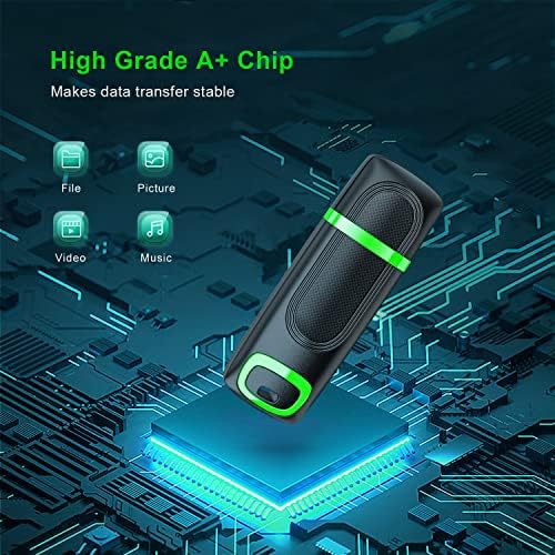 RAOYI 256 GB USB 3.0 Flash Drive – High-Speed Thumb Drive for Effortless Data Transfer Across PCs & Macs – Ultimate Portable Storage Solution for Professionals and Everyday Use