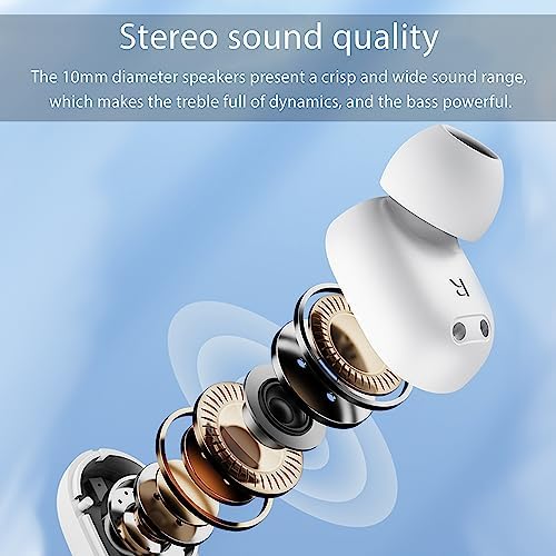 DX-05 True Wireless Earbuds – Premium Sound Quality, Lightweight Comfort, and IPX5 Waterproof Design with Bluetooth 5.3 Connectivity for Seamless Audio Experience – Ideal for Fitness, Calls, and Everyday Use (Black)