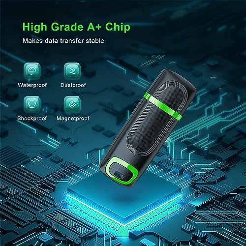 RAOYI 256 GB USB 3.0 Flash Drive – High-Speed Thumb Drive for Effortless Data Transfer Across PCs & Macs – Ultimate Portable Storage Solution for Professionals and Everyday Use