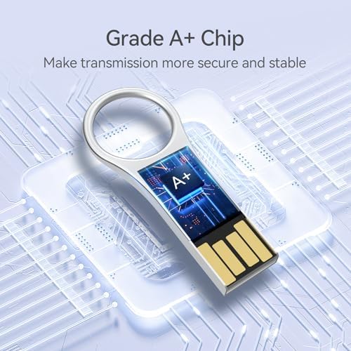 RAOYI 64 GB Metal Key Shape USB Flash Drive – 5 Pack Stylish & Durable USB 2.0 Memory Stick for Effortless Data Storage, Ideal for PC, Laptop & Desktop Use – Compact, Lightweight & Reliable Keychain Accessory