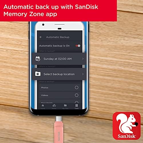 San Disk 4 GB Ultra Compact Flash Memory Card – High-Speed 30 MB/s Transfer Rate for Effortless Data Storage and Transfer, Ideal for Photographers and Videographers, Compact & Portable Design, Compatible with Cameras & Laptops, Reliable Protection Against Data Loss