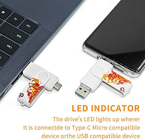 Ultra-Fast 3-in-1 256 GB Photo Backup Stick for Android & Type-C Devices – Seamless Storage with USB 3.1 Compatibility for Galaxy, LG, Google Pixel, Huawei, One Plus, and More!