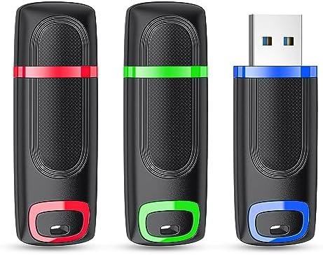 RAOYI 256 GB USB 3.0 Flash Drive – High-Speed Thumb Drive for Effortless Data Transfer Across PCs & Macs – Ultimate Portable Storage Solution for Professionals and Everyday Use