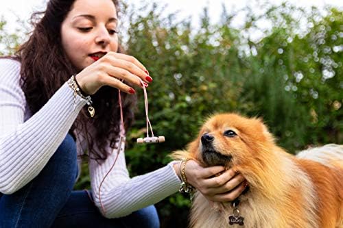 LUDOS Ultra Magnetic USB-C Earbuds for i Phone 16 & Samsung Galaxy – Superior Sound Performance with 5-Year Warranty, Ergonomic Comfort for All-Day Use, Tangle-Free Magnetic Design for Music and Calls – Sleek Black Finish