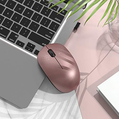 Light Blue Wireless Mouse – Ultra-Quiet 2.4 GHz Noiseless Computer Mouse with USB Receiver for Seamless Windows Experience – Portable, Ergonomic Design for Home, Office, or Travel